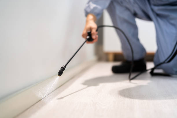 Licensed Pest Control service in Patterson, LA - Show Me Pest Control