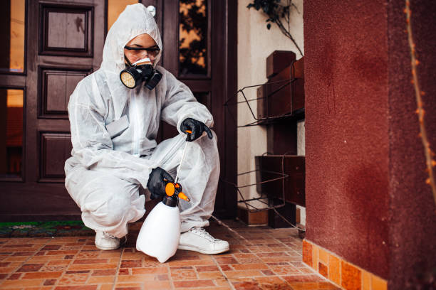 Reliable Wasp Removal contractor in Patterson, LA by Show Me Pest Control